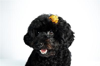 制作人亲自解说《破晓传说》试玩版官方30分钟实机演示